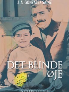 Omslag roman Det blinde øje Federico til køb ISBN 978-87-970551-0-6 Det blinde øje emigration integration roman