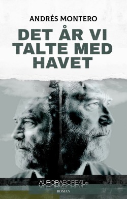 Det år vi talte med havet 9788793935976